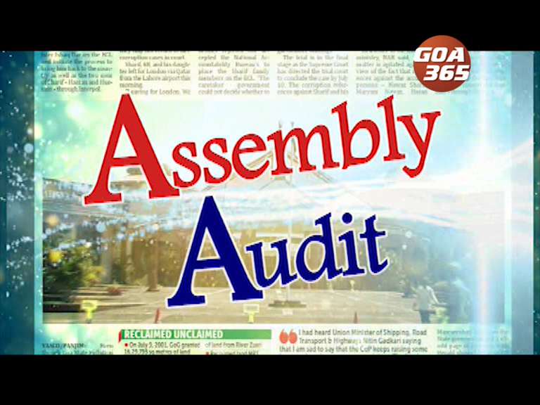 Assembly Audit