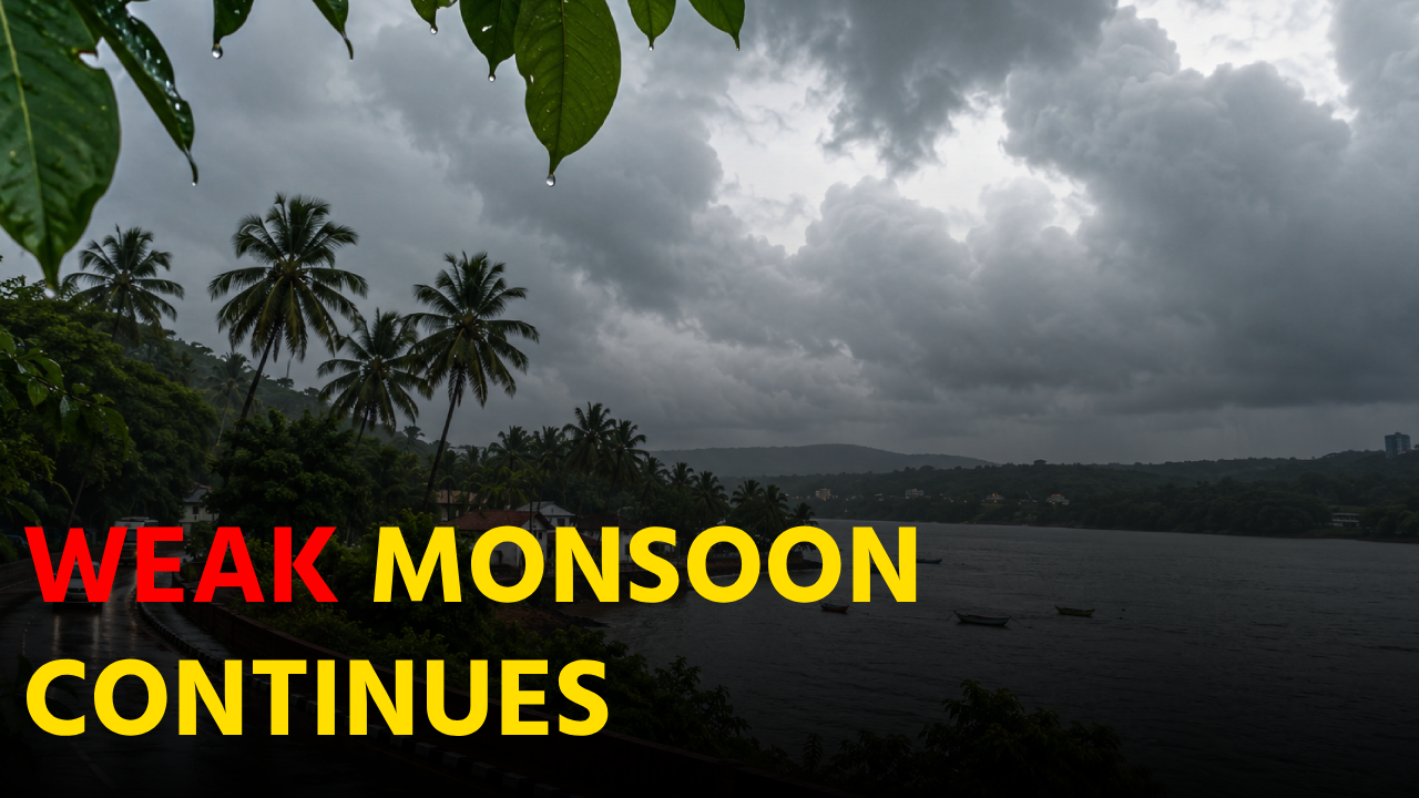 Goa Monsoon Remains Weak, Rain To Pick Up From Thursday || GOA365 TV