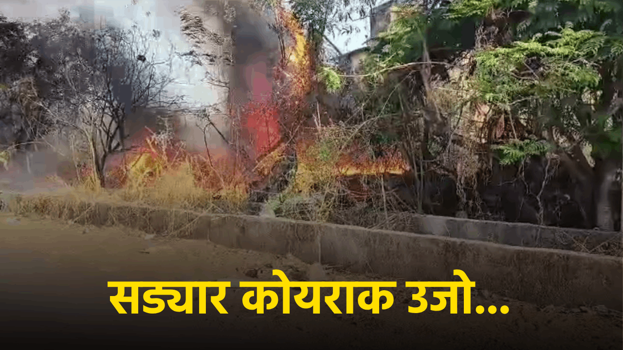 Fire at Sada Garbage Dumping Yard Fuels Criticism of Municipal Corporation's Waste Handling||GOA365 TV
