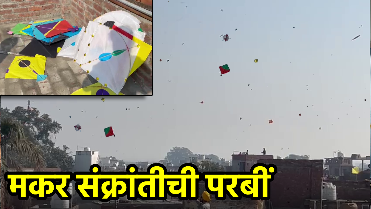 Makar Sankranti Celebrated Across The Nation || GOA365