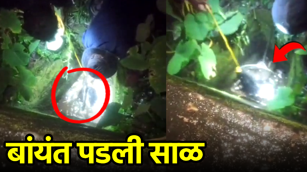 Forest Dept Rescues Porcupine from Paroda Well||GOA365 TV