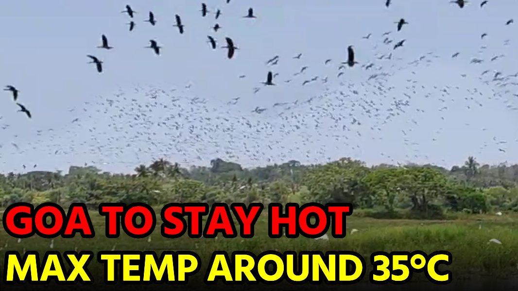 No Rain, Just Heat: Goa’s Weather to Stay Unchanged || Goa365 TV