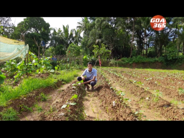 Story Behind the Story :AGRICULTURE IS GOOD BUSINESS