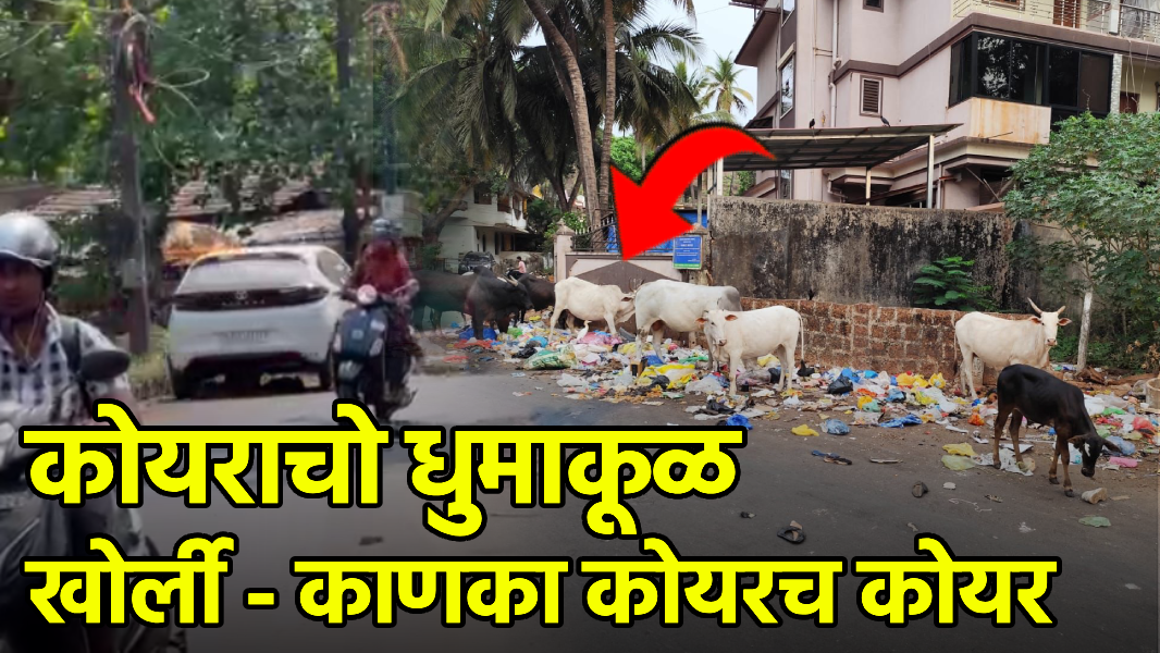 Khorlim to Canca Road Chokes with Garbage||GOA365