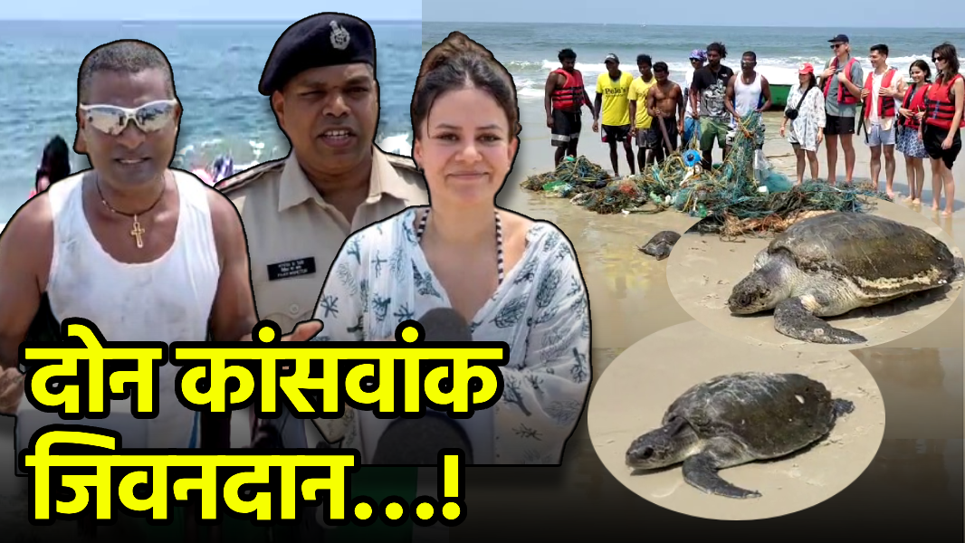 Foreign Tourists Join Fishermen to Free Turtles from Sea Nets||GOA365